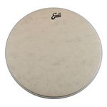 Evans 24" Calftone Bass Drum
