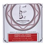 Antonio Pinto Carvalho Algerian Mondol Strings 8-Str