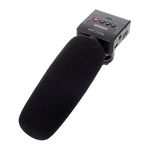 Tascam DR-10 SG