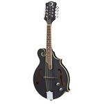 Luna Guitars BGM Moon F Mandolin BK
