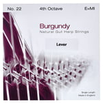 Bow Brand Burgundy 4th E Gut Str. No.22
