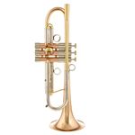 Adams A4 Gold Brass 040 Selected SL
