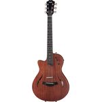 Taylor T5z Classic LH B-Stock