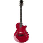 Taylor T5z Pro Borrego Red