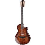 Taylor T5z-12 Custom