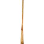 Thomann Didgeridoo Eucaly. Proline Cis
