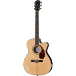 Fender PM-3 Limited Adirondack RW