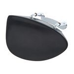 Roth & Junius CR Beran VN 4/4 Ebony