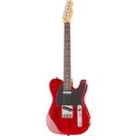 Fender AM Pro Tele Ash RW CRT
