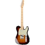 Fender AM Pro Tele Ash MN 2TS