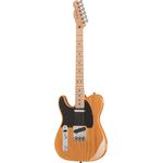 Fender AM Pro Tele Ash LH MN BTB
