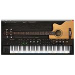 Ample Sound Ample Bass Acoustic III