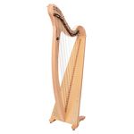Salvi Donegal Lever Harp 34 Str. NM