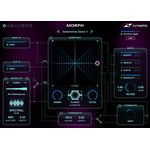 Zynaptiq Morph 2