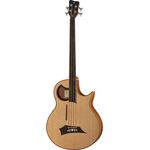 Warwick Alien 4 fretless