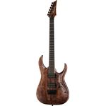 Ibanez RGAIX6U-ABS Iron Label