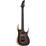 Ibanez RGDIX6PB-SKB Iron Label