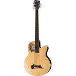 Warwick Rockbass Alien 5 Std. FL/Lines