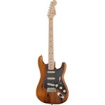 Fender AM PRO VIN '59 Pine STRAT NAT