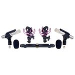 Aston Microphones Starlight Stereo Pair