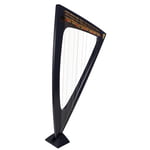 Salvi Delta Electric Harp
