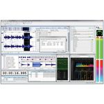 Magix Sound Forge Pro 11