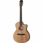 Taylor 114ce-N Nylon