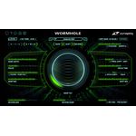 Zynaptiq Wormhole
