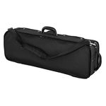 Roth & Junius RJVC Violin Case Allegro 4/4