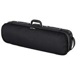 Roth & Junius RJVC Violin Case Giocoso 4/4