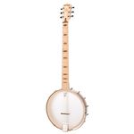 Deering Goodtime 6 Banjo 12" Jumbo LH