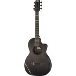 Rainsong CH-PA1000NS Parlor