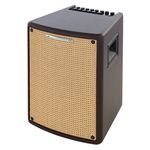 Ibanez T80II Acoustic Combo