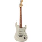 Fender Std Stratocaster HSS PF AW