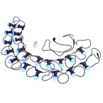 ADJ Color Strand LED