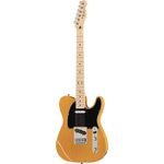 Fender Standard Telecaster MN BB
