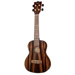 Flight Concert DUC460 Amara