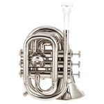 Carol Brass CPT-1000-YSS-Bb-WN