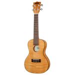 Kala Exotic Mahogany Concert