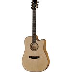 Lakewood D-35 CP