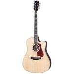 Gibson Hummingbird RW AG 2018