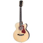 Gibson Parlor Rosewood AG 2018
