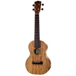 Pono MGC Concert