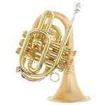 Carol Brass CPT-7000-GLS-Bb-SLB