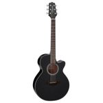 Takamine GF15CE B-2