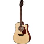 Takamine GD10CE-N-2