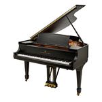 Steinway & Sons M-170 black mat