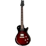 PRS SE Chris Robertson FR 2018