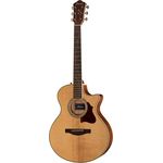 Ibanez AE205JR-OPN