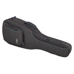 Reunion Blues CV Acoustic Case BK Small Body